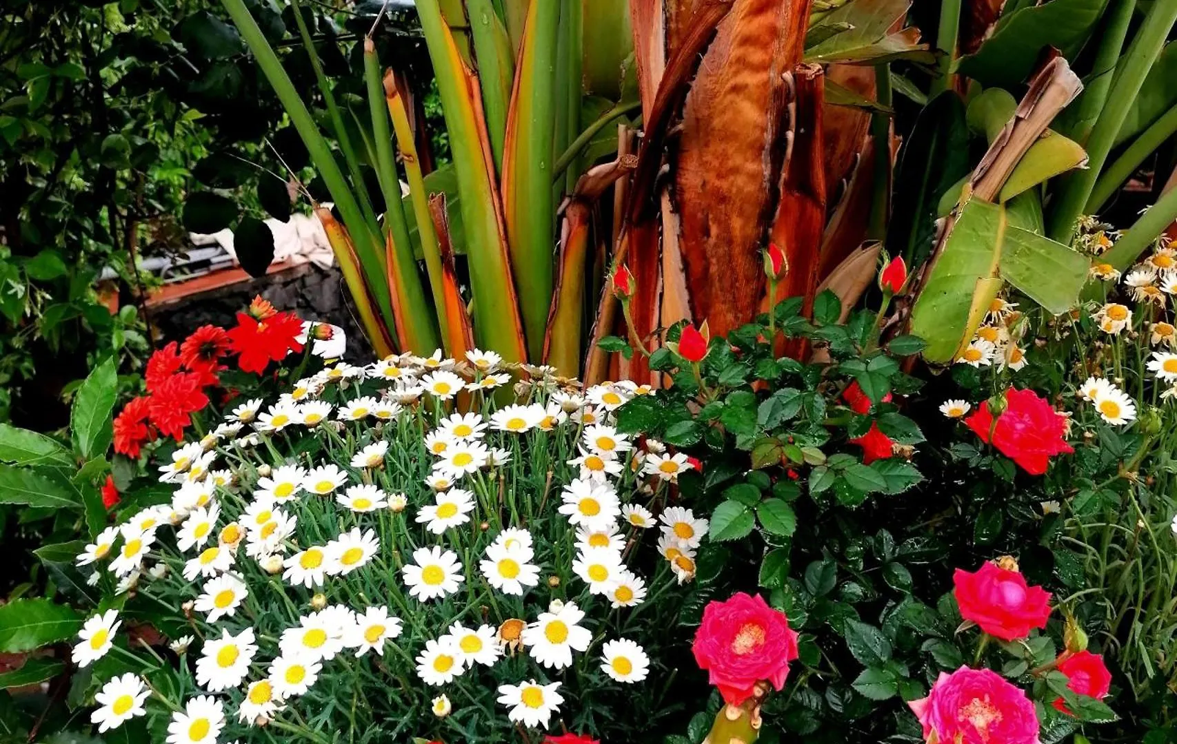 La Foresteria Garden Boutique B&B CTA 3*,