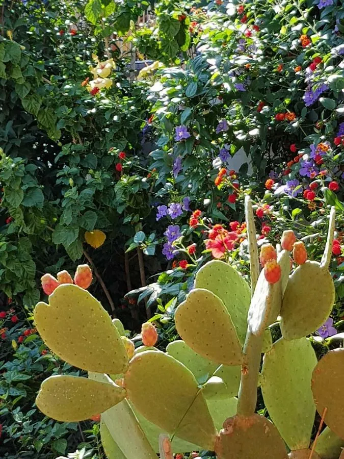 La Foresteria Garden Boutique B&B CTA